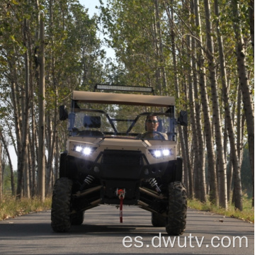 800cc 4 * 4 ATV UTV Quad Bike